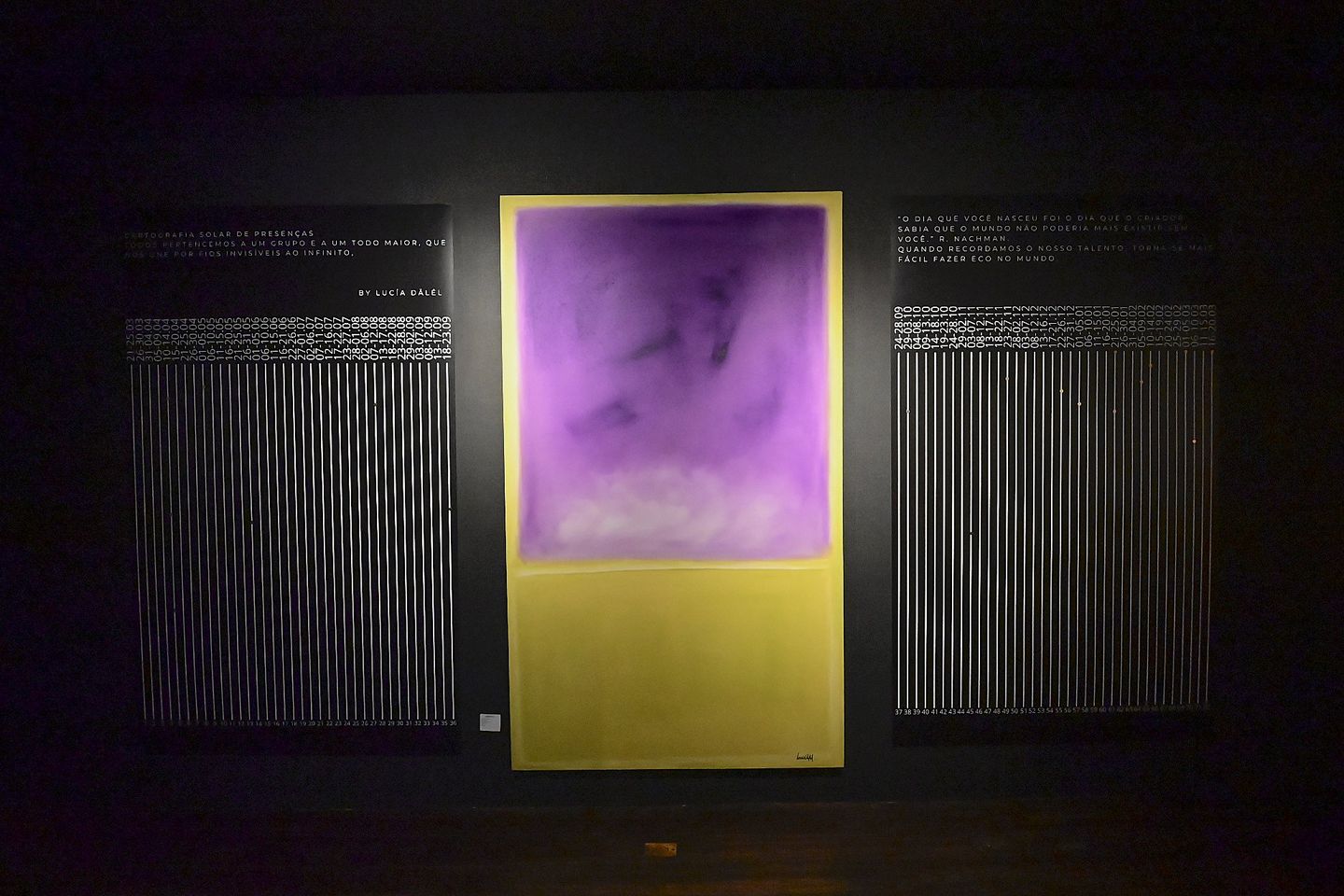 Exposição Lucia Dalel & Gabriela Drewes (63) (2).JPG